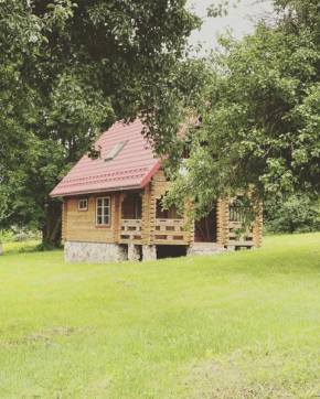 Homestead with sauna